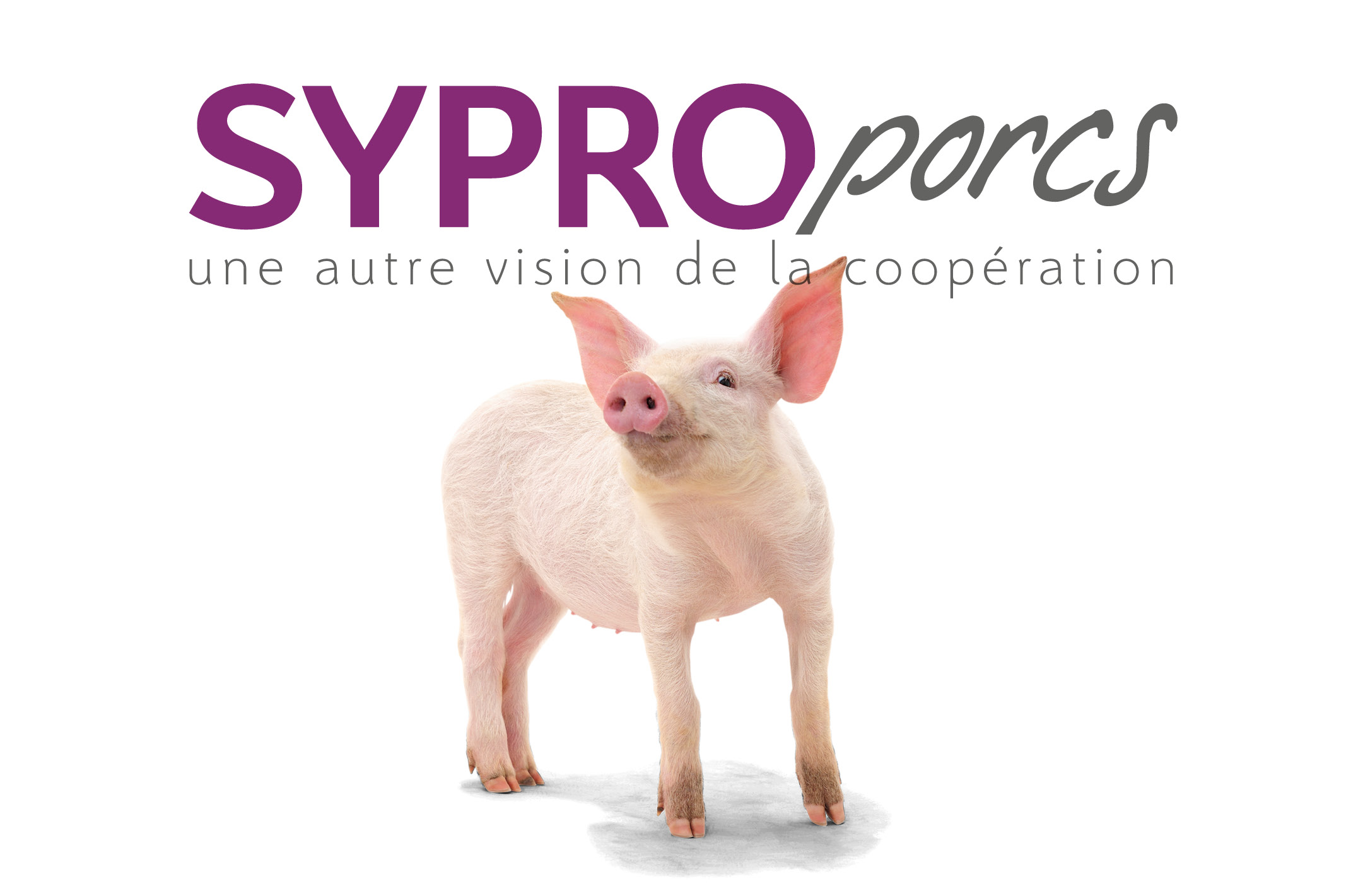 SYPROPORCS une autre vision de la coopération