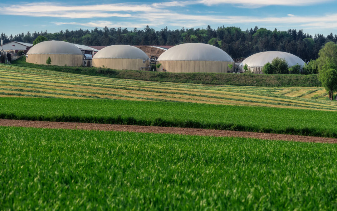 RENDEZ-VOUS SALON : BIO 360 EXPO, LES 24 ET 25 JANVIER 2024