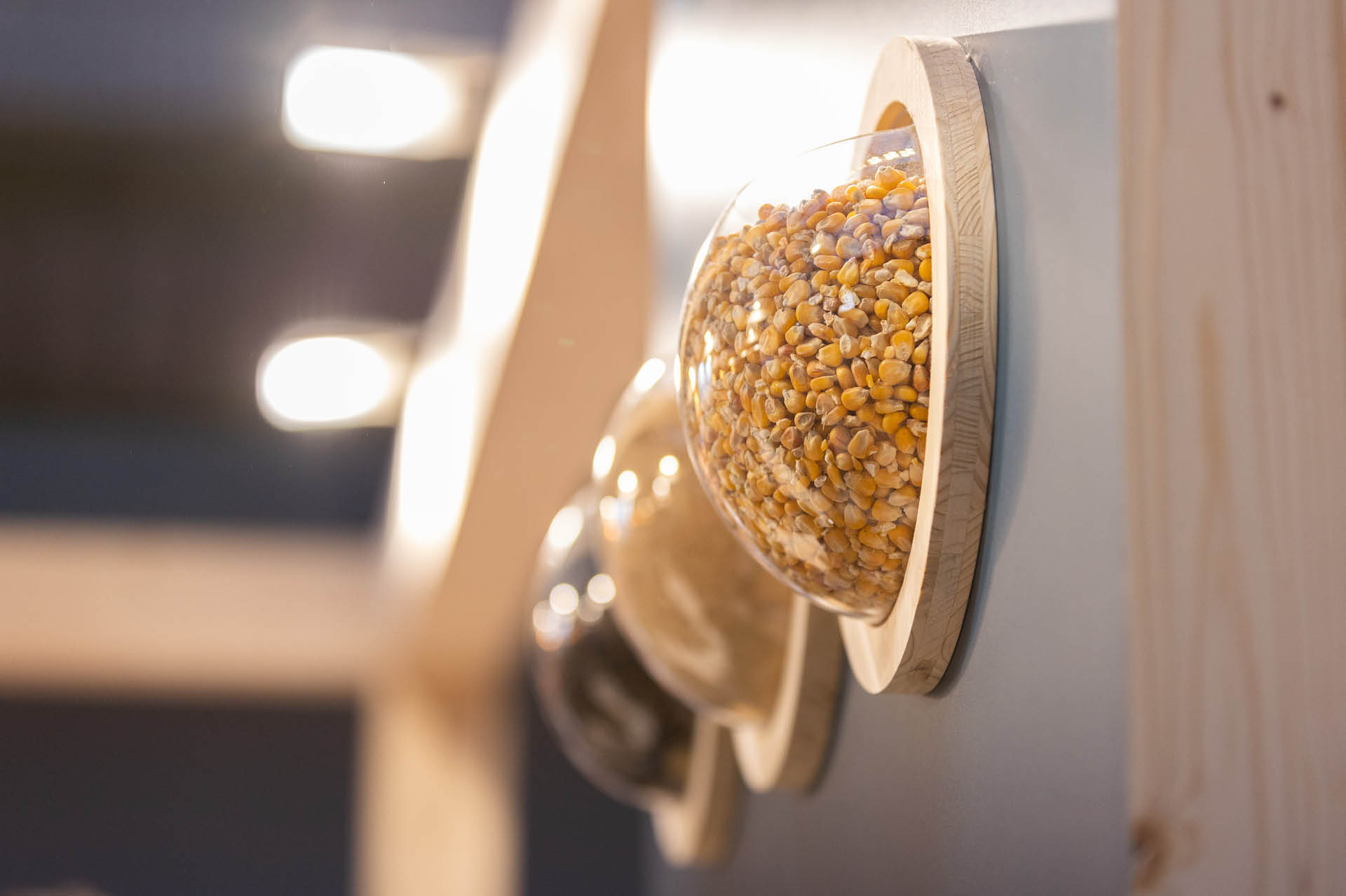 1920x1278-visuels stand ANGERS 2026 Projet de stand traditionnel design et moderne - Salon Angers - SEPEM